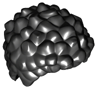 The missing black coiled and short hairpiece.